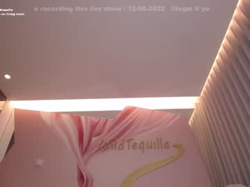 hardcore cam girl wildtequilla image #1608208