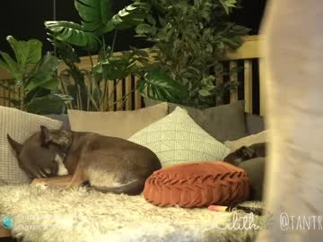 hardcore cam girl tantric_eden_ image #1714733