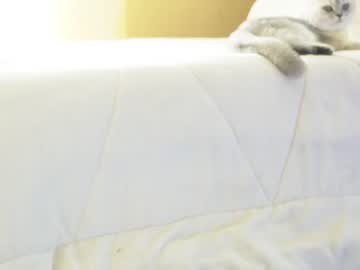 hardcore cam girl artoftease image #2109416