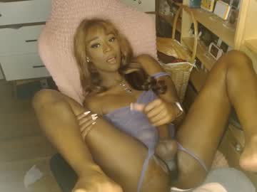 hardcore cam tranny vanniall image #3885662