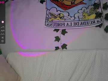 hardcore cam girl shycinderella image #2514440