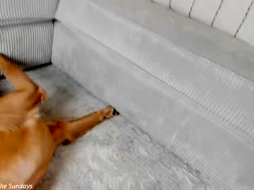 hardcore cam girl x_lily_x image #4176756