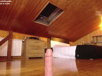 hardcore cam girl wildtequilla image #693663
