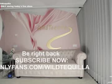 hardcore cam girl wildtequilla image #3530423