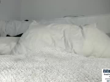 hardcore cam girl cat_decosta image #290796