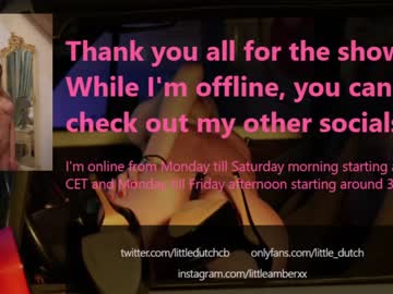 hardcore cam girl little_dutch image #1529659