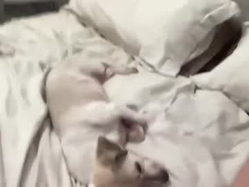 hardcore cam girl scarlettlayne image #4681434
