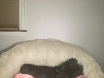 hardcore cam girl miss_savannah image #805480