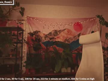 hardcore cam girl jane_flowers image #3358117