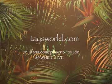 hardcore cam girl phoenix_taylor image #1985985