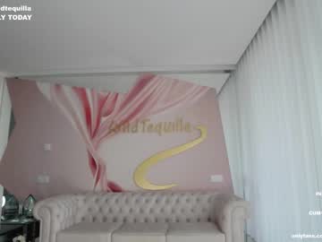 hardcore cam girl wildtequilla image #3109564