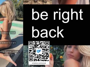 hardcore cam girl ocicat image #3809473