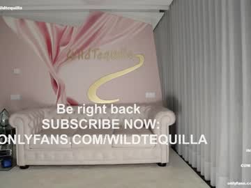hardcore cam girl wildtequilla image #3310449