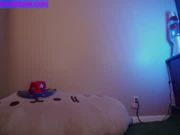 hardcore cam girl chroniclove image #1412598