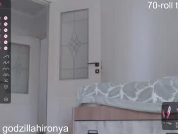 hardcore cam girl hirotease image #3379796