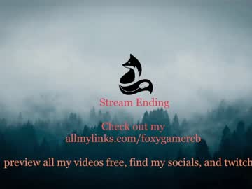 hardcore cam girl foxy_gamer image #2599054