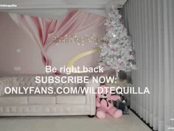 hardcore cam girl wildtequilla image #3884955