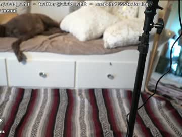 hardcore cam girl vivid_whit image #2958174