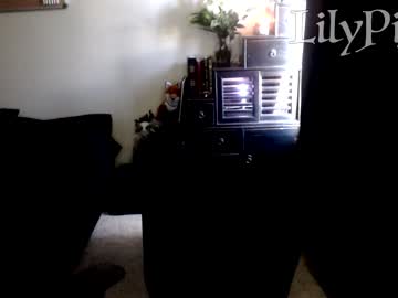 hardcore cam girl lilypixel image #990357