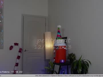 hardcore cam girl petitebrat image #3942196