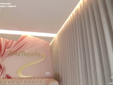 hardcore cam girl wildtequilla image #3387343