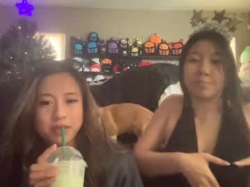 hardcore cam girl hiddenr0se image #4014294
