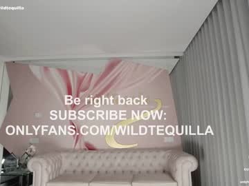 hardcore cam girl wildtequilla image #3698352