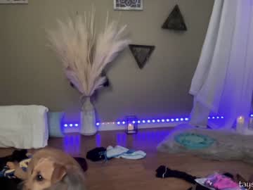 hardcore cam girl phoenix_taylor image #1570309