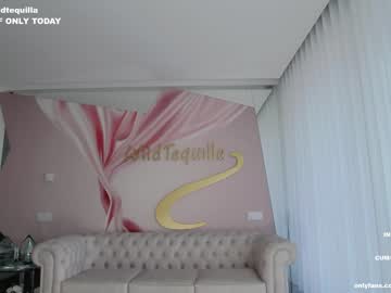 hardcore cam girl wildtequilla image #3127957
