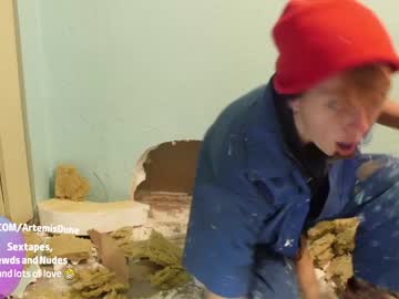 hardcore cam girl artemisfit image #3651817