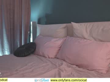 hardcore cam girl ocicat image #867012