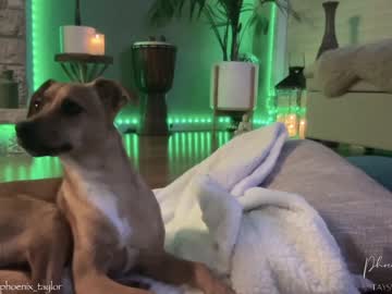 hardcore cam girl phoenix_taylor image #1762482