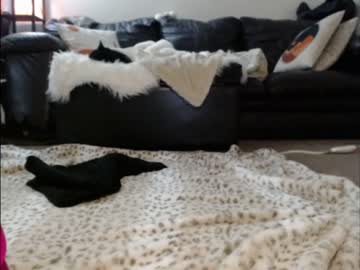 hardcore cam girl shastathecat image #2374288
