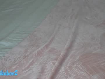 hardcore cam girl erikabee image #1920141