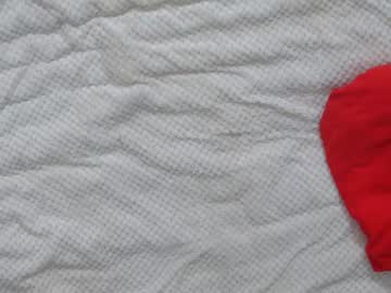 hardcore cam girl shycinderella image #1057670