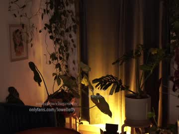 hardcore cam girl effylowell_ image #3035613
