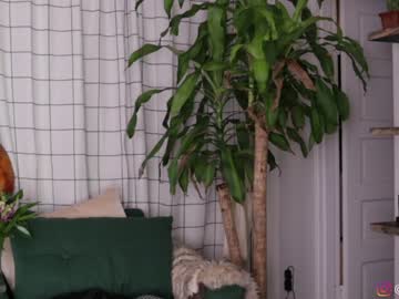 hardcore cam girl maeveminx image #2473305