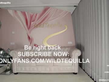 hardcore cam girl wildtequilla image #3177417