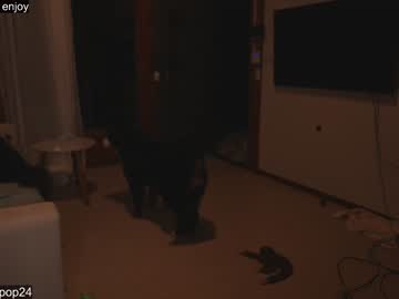 hardcore cam girl loollypop24 image #3406640