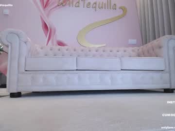 hardcore cam girl wildtequilla image #3253629