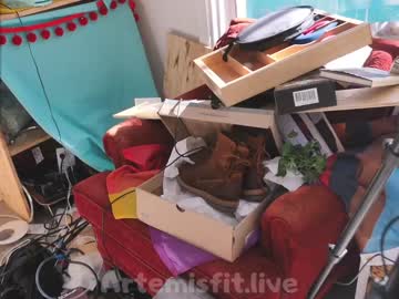 hardcore cam girl artemisfit image #386598