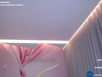 hardcore cam girl wildtequilla image #2791916