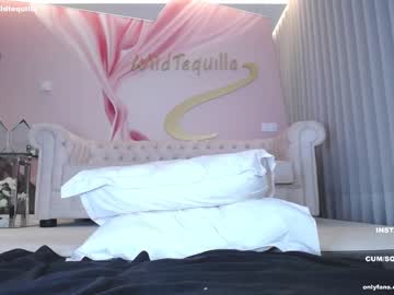 hardcore cam girl wildtequilla image #2991578