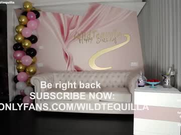 hardcore cam girl wildtequilla image #2347937