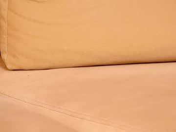 hardcore cam girl shycinderella image #1557626