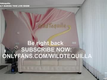hardcore cam girl wildtequilla image #3677636