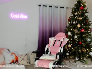 hardcore cam girl foxy_gamer image #566199