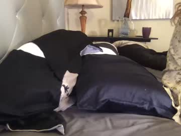 hardcore cam girl annabisoux image #2735049