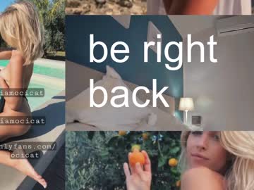 hardcore cam girl ocicat image #3632334