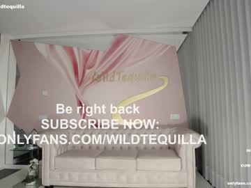 hardcore cam girl wildtequilla image #3186907